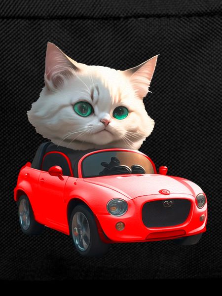 Cat drives convertible