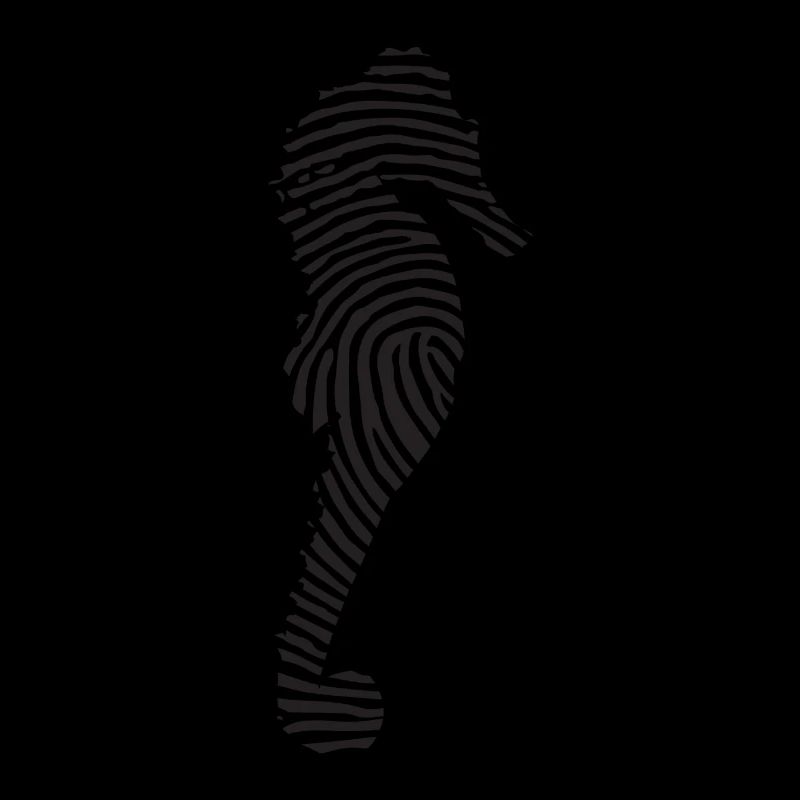 Hippocampe hippocampe