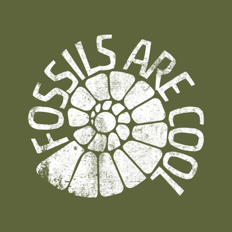 Fossils Are Cool