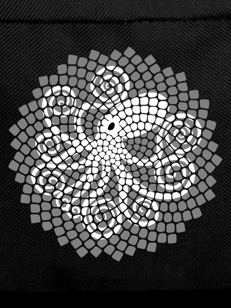 Fibonacci Squid