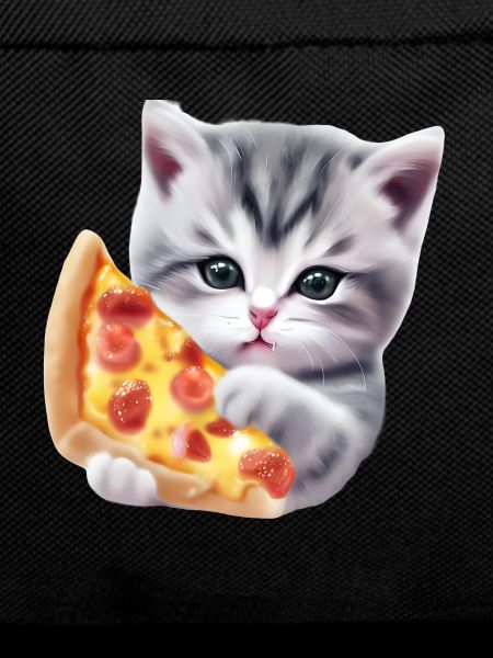 Pizza Cat