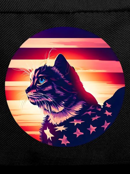 American Cat Sunset
