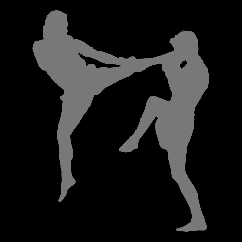 fighter