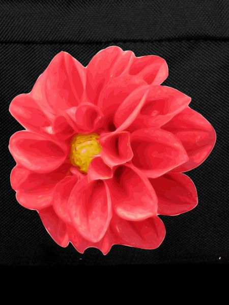 fleur
