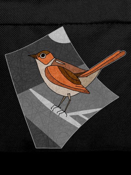Bird nightingale