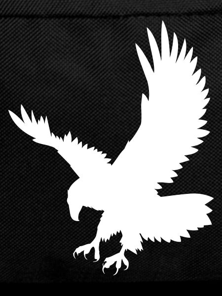 An eagle chasing its prey