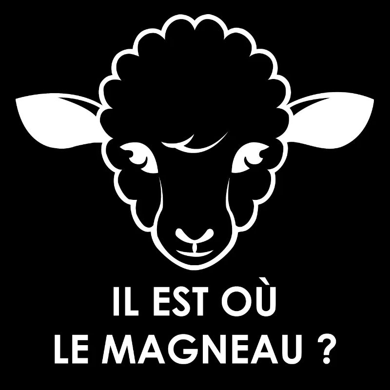 Logo il est ou le magneau ?
