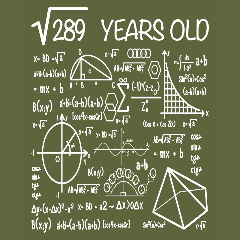 17th birthday math square root