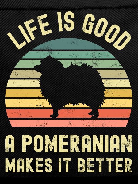 Dog Pomeranian