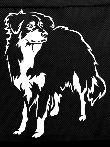 Australian Shepherd "Black Edition"