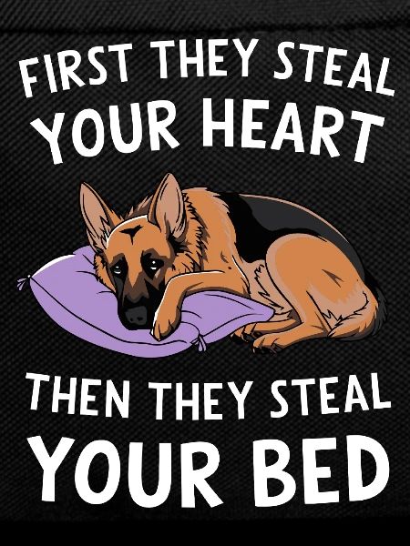German Shepherd Steals Heart and Bed