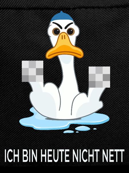 I'm Not Nice Today – Funny Duck