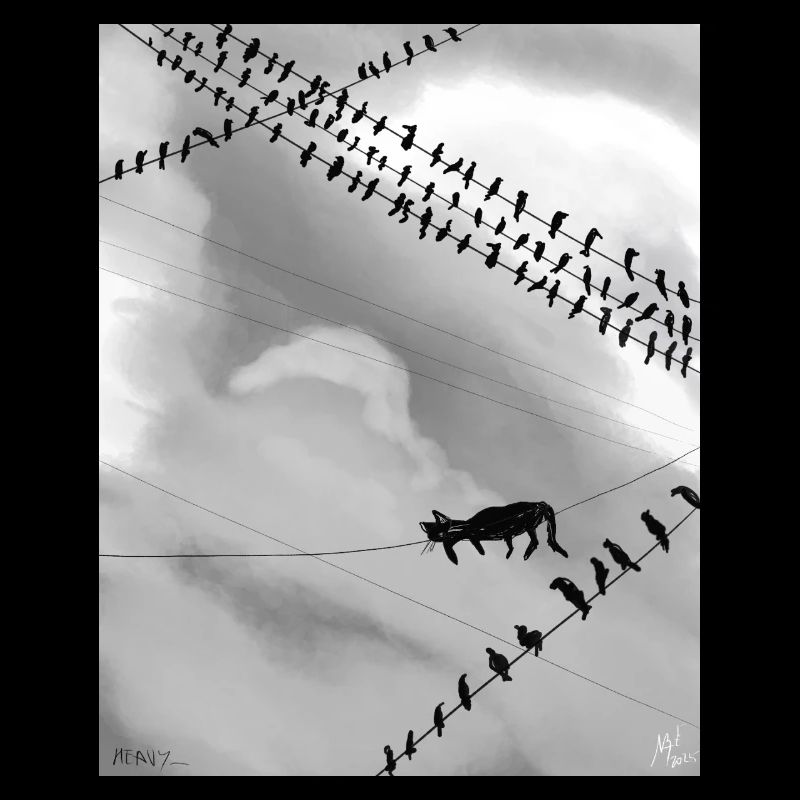 Monochrome cat on Power Lines