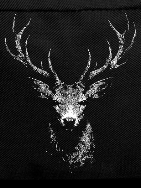 roe deer