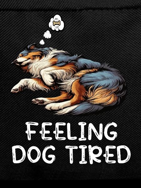 Feeling Dog Tired Australian Shepherd Aussiehalter