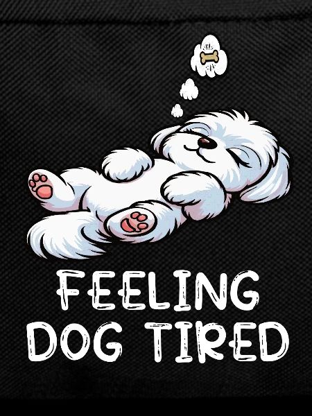 Feeling Dog Tired Maltese Maltese Owner