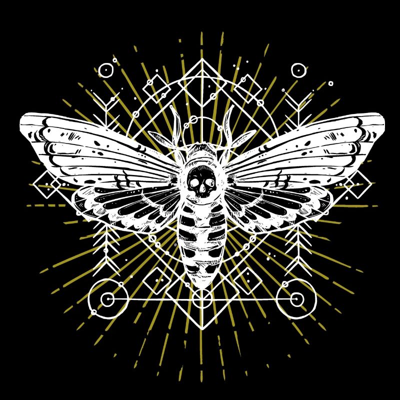 Motte Motten Moth Mondphasen Gothic Geschenkidee