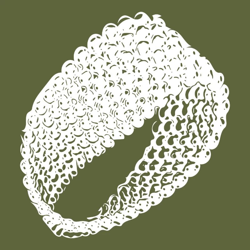 Geometric vintage Möbius loop flat surface