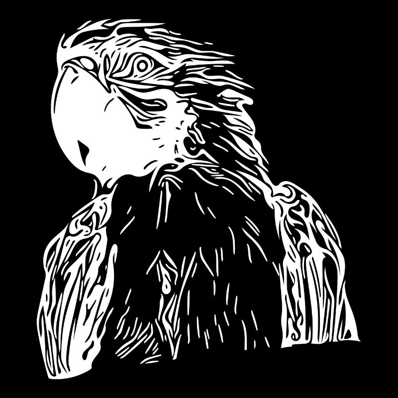 Parrot Portrait Vintage Bird Drawing