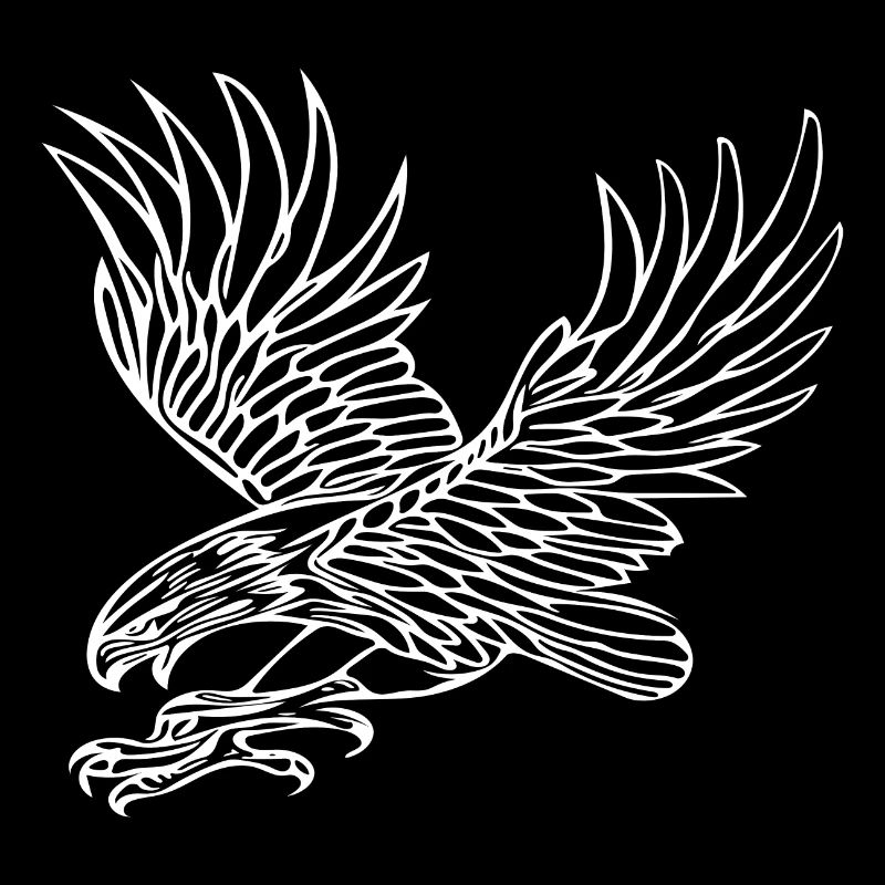 Eagle in grabbing flight for bird lovers and falconers