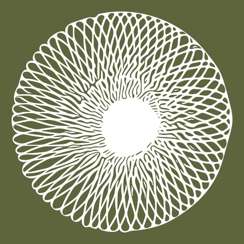 Geometric Optical 3D Circular Line Illusion
