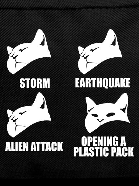Cat - selective perception - saying