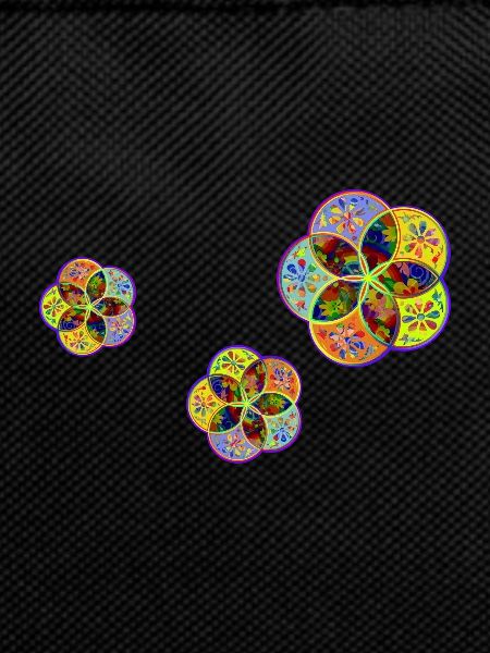 Venus Flower - base - Flowerpower Drilling