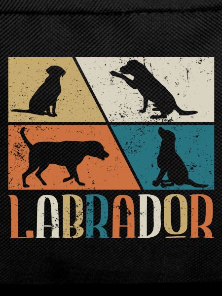 Labrador