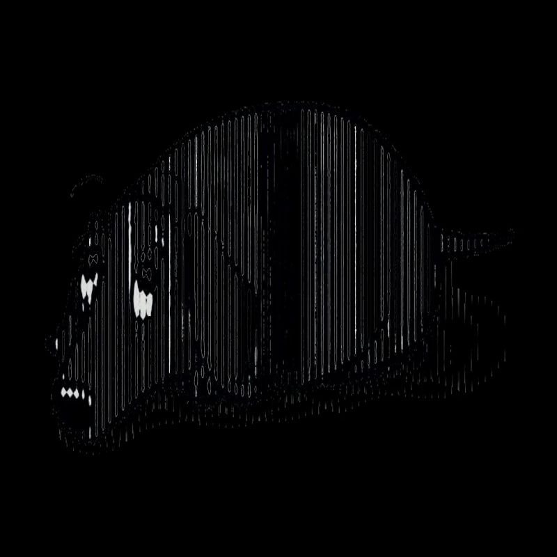 Black Dachshund