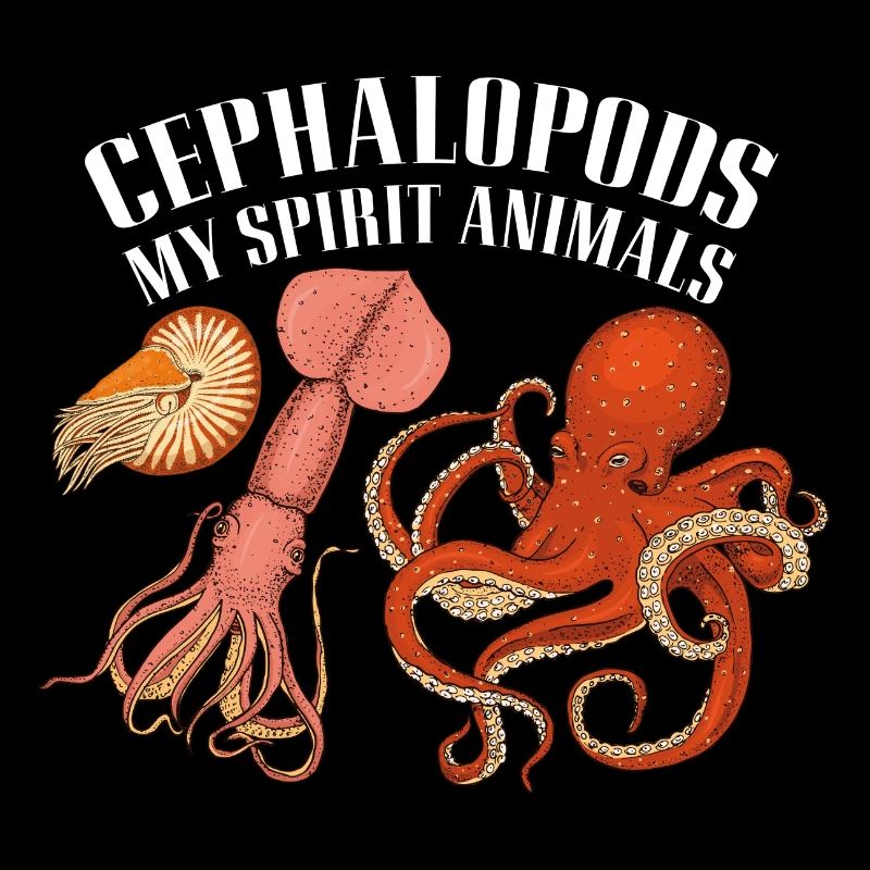 Cephalopod octopus octopus squid