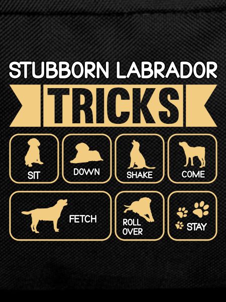 Stubborn labrador tricks