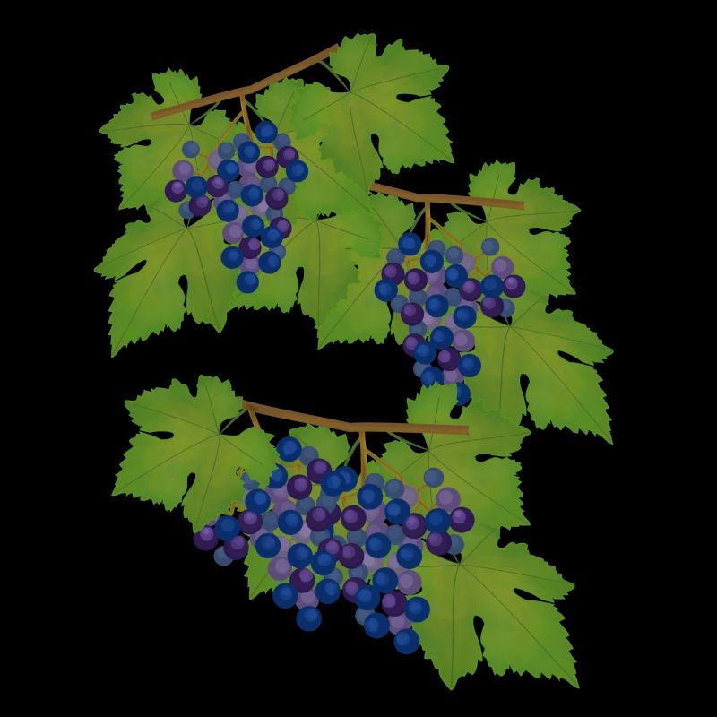 Grapes, vine, autumn, wine