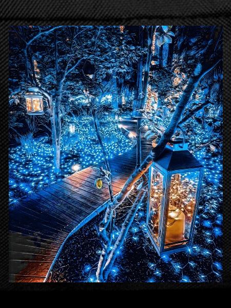 Forest Boardwalk, Japan