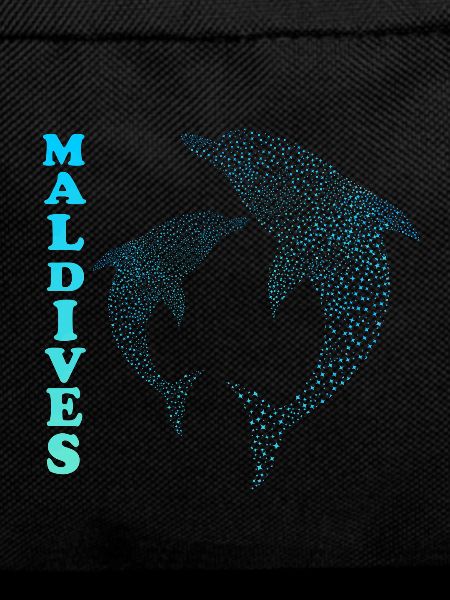 Malediven Delfine Maldives Dolphins