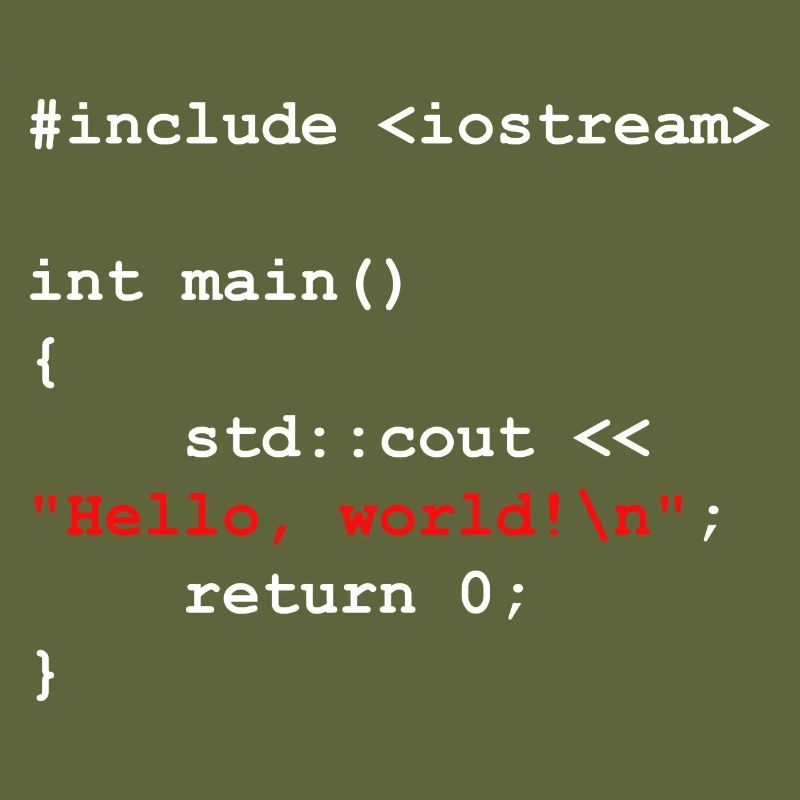 Programmer Coder Software Developer