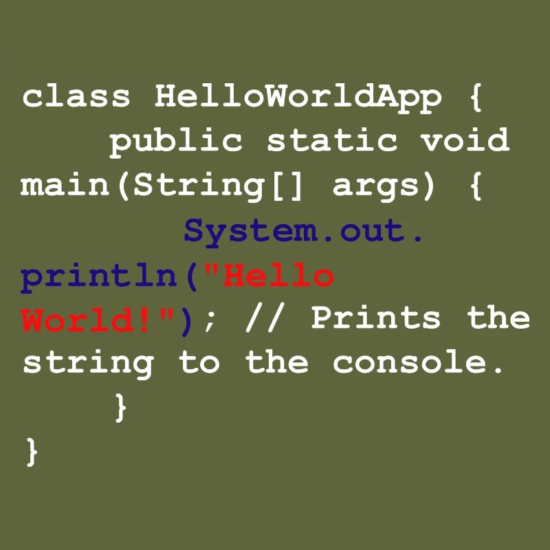 Programmierer Coder Software Entwickler