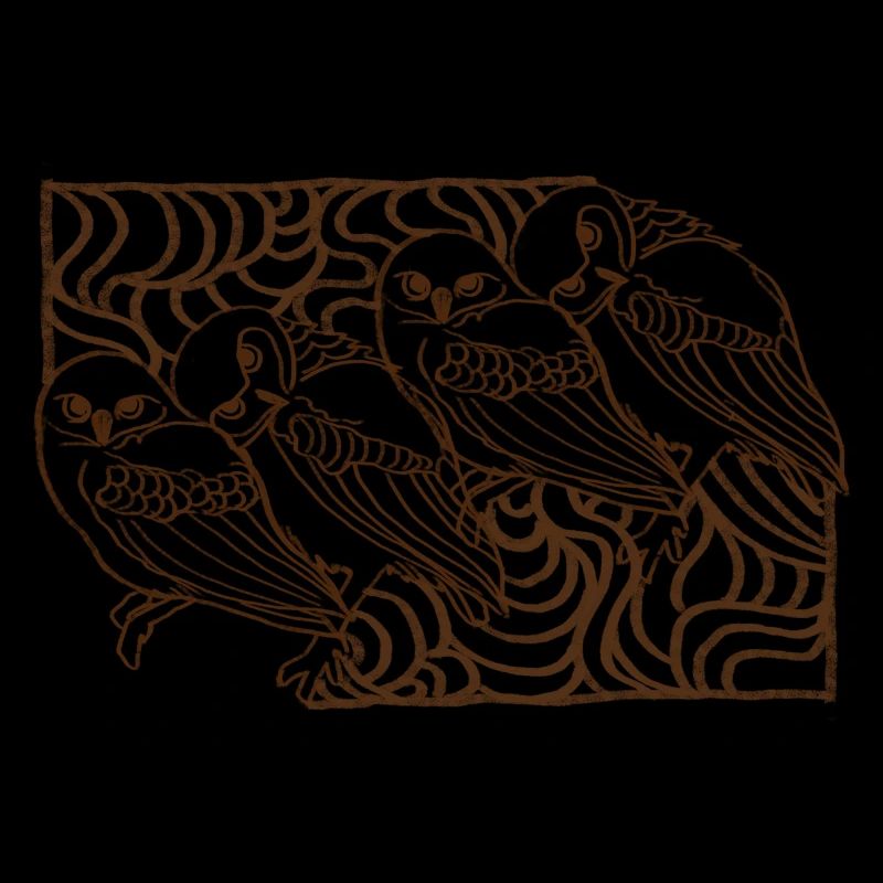 Sweet hand drawn owls, illustration