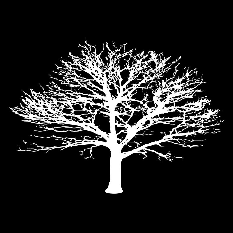 Silhouette d’arbre blanc sans feuillage