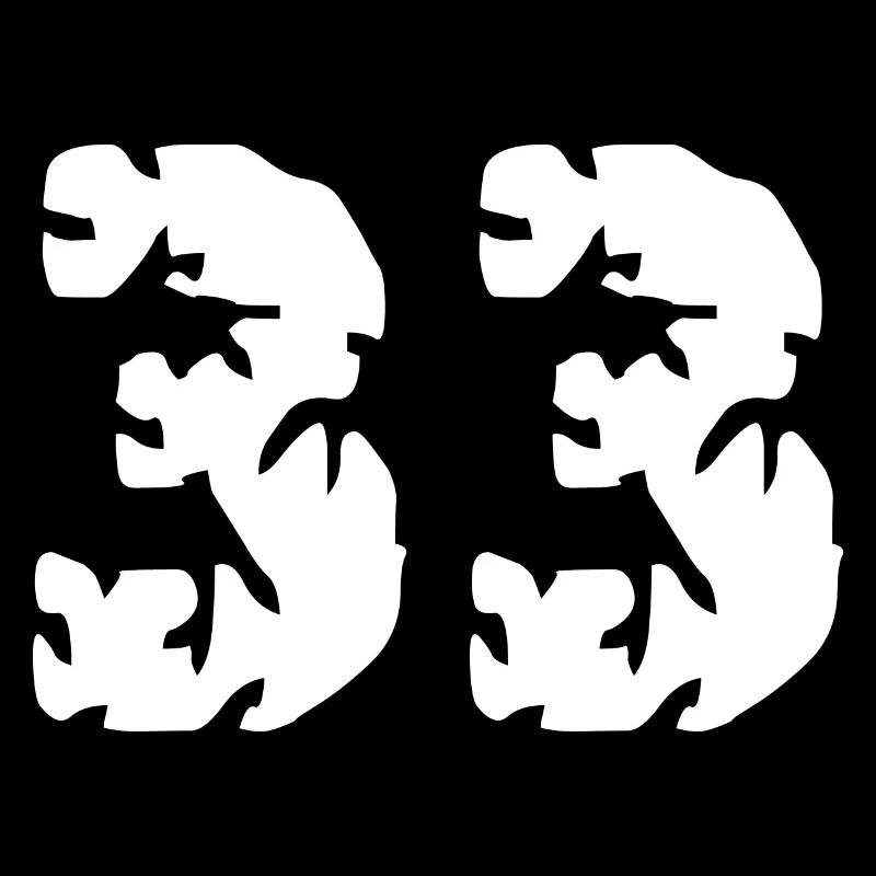 Maillot 33 numéros