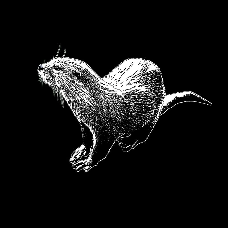 Otter