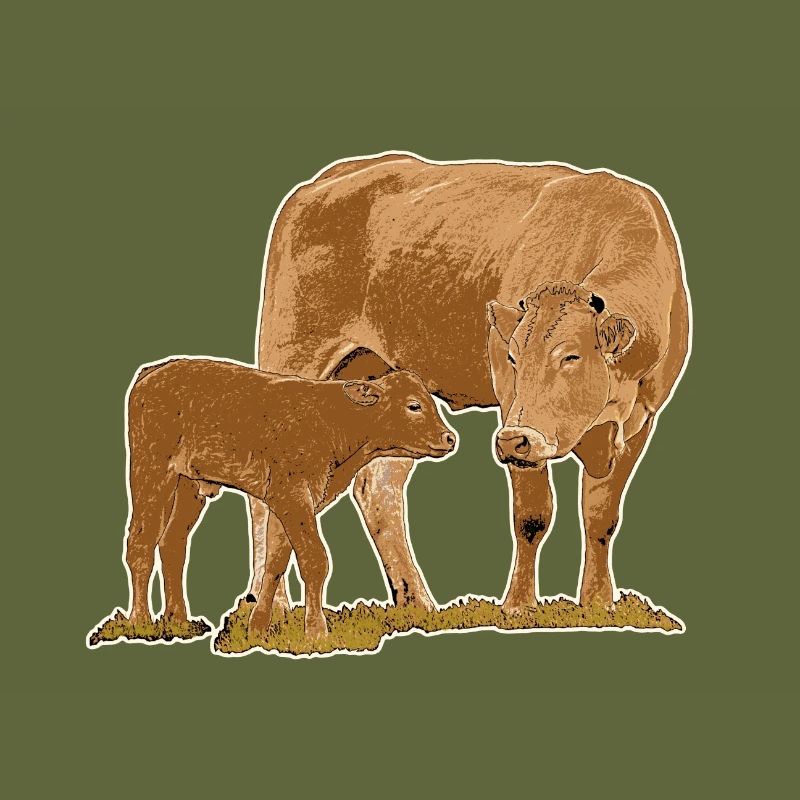 Cow with calf