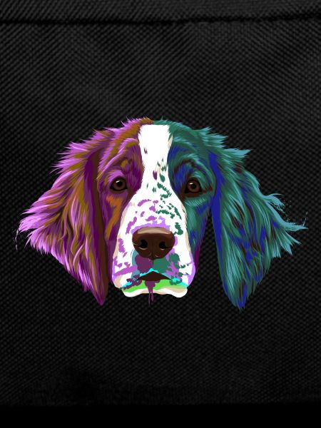 Splash Welsh Springer Spaniel Dog