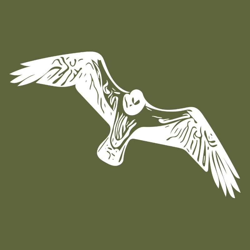 Vintage Seagull in Flight