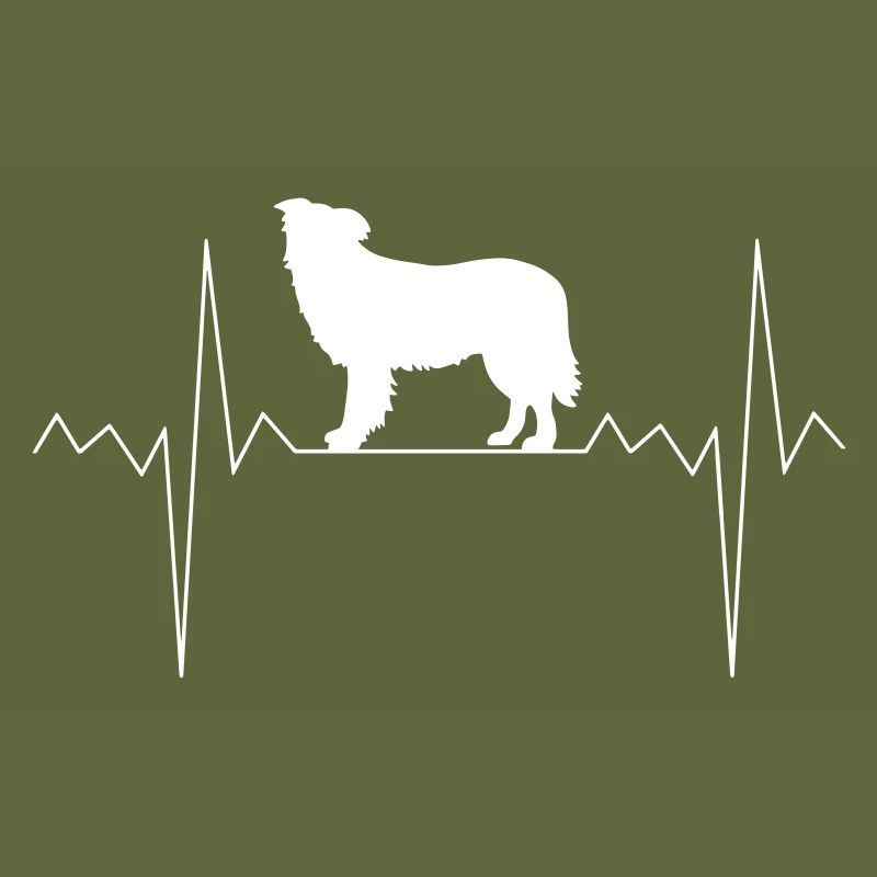 Herzschlag Herzfrequenz Border Collie