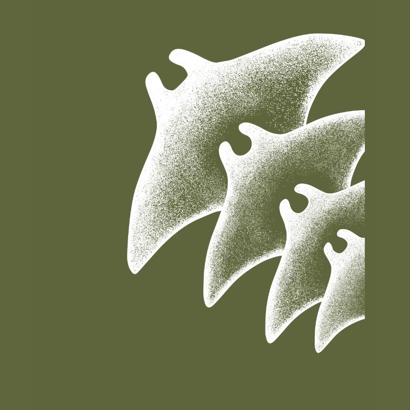 Dive Underwater Manta Ray Gift Idea