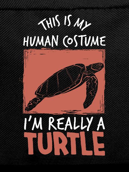 Tortue