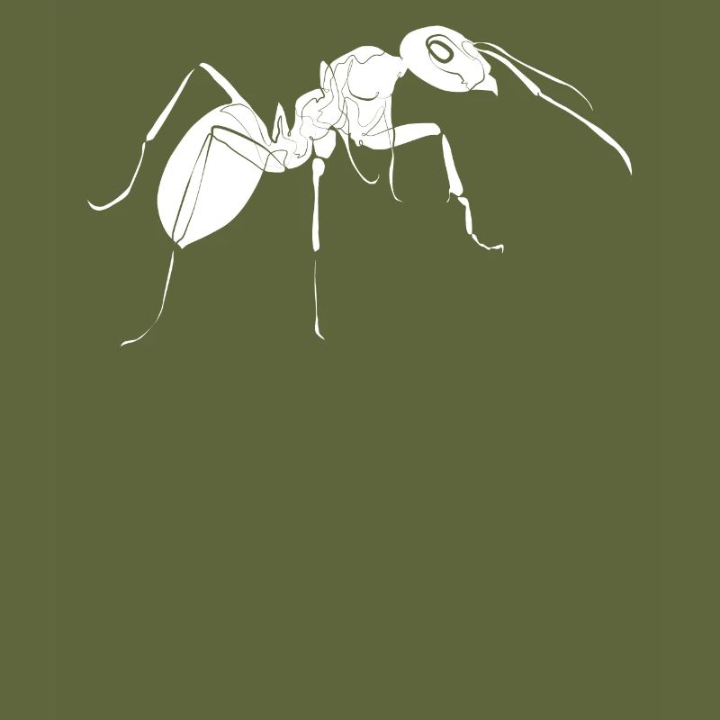 Ant