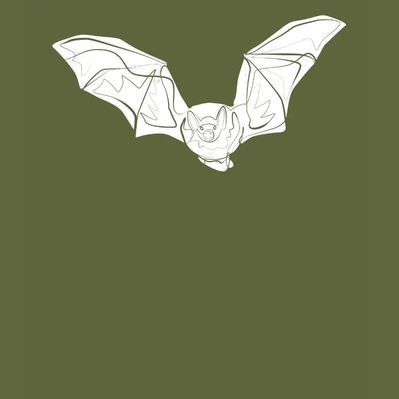 Bat