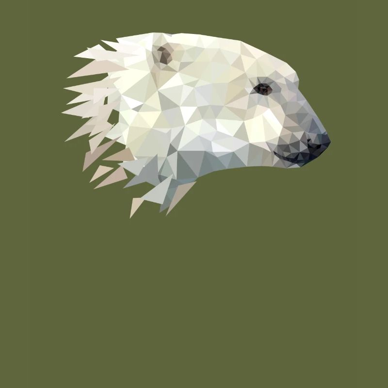Polar bear