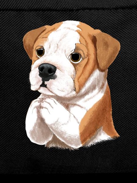 English Bulldog
